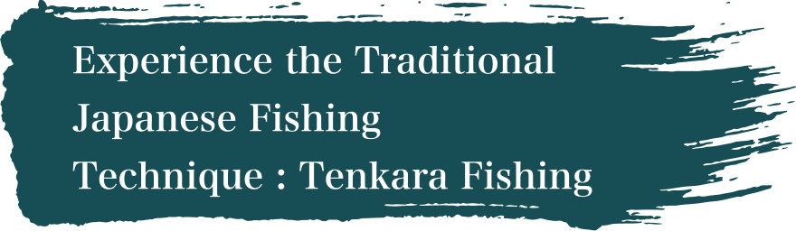 Experience the Traditional Japanese Fishing Technique : Tenkara Fishing